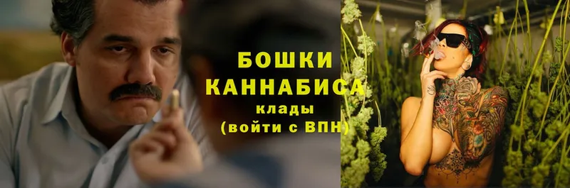 магазин продажи наркотиков  Верея  Шишки марихуана White Widow 